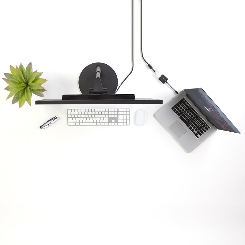 StarTech MDP2DVI Mini DisplayPort to DVI Adapter - VESA Certified